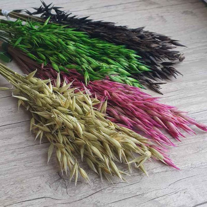 Avoine séchée teintée petite botte 10 brins fleurs séchées décoration