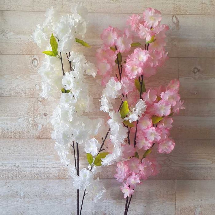 Branches de fleurs de cerisier