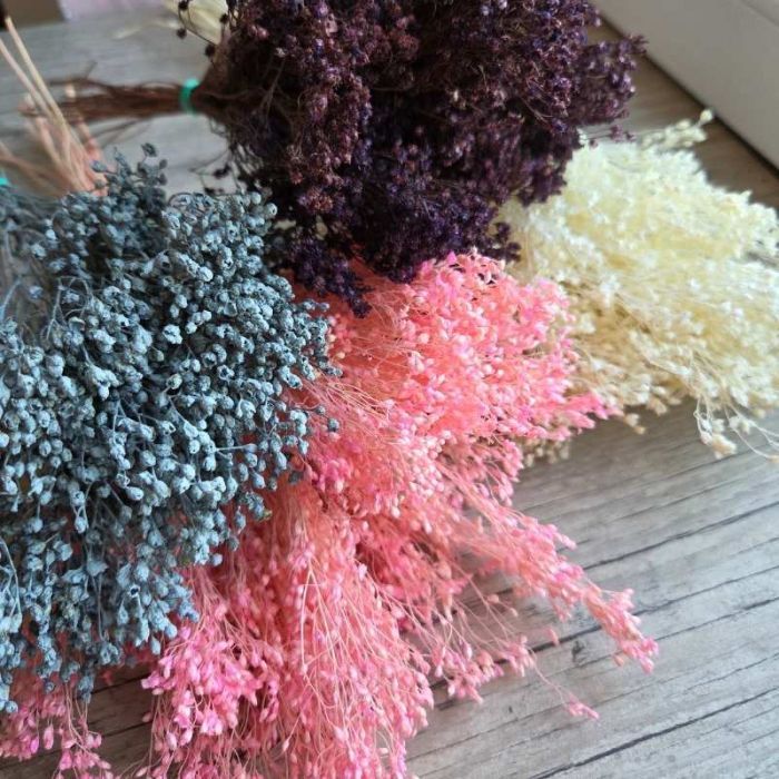 Broom bloom séché coloré petite botte fleurs séchées vue générale