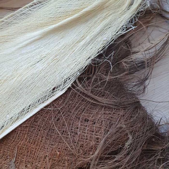 Fibre de palmier crème décorative morceau écorce naturelle art floral