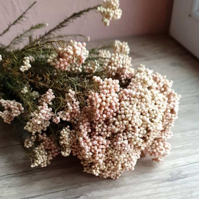 Bouquet fleurs de riz