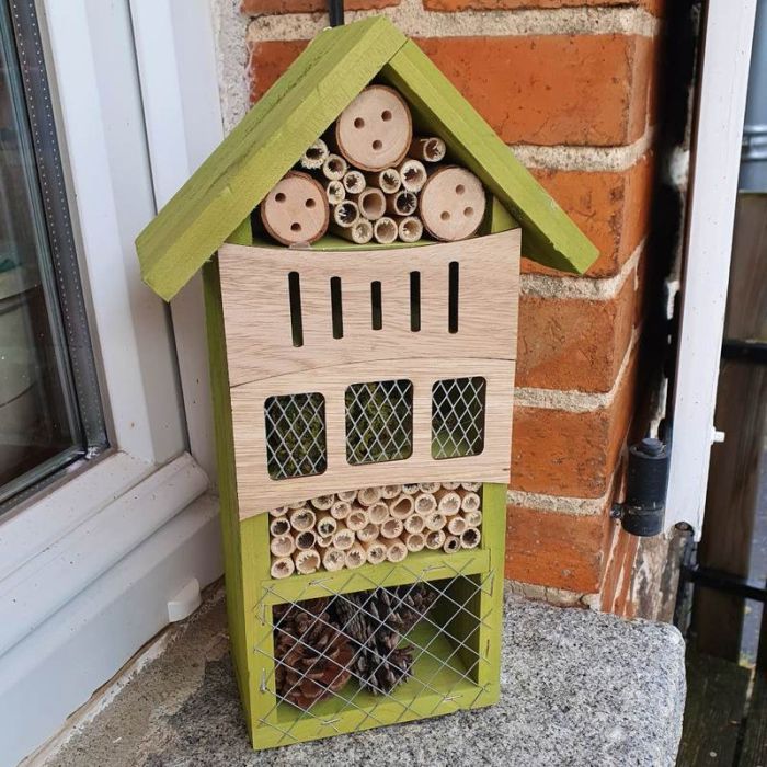 Hôtel à insectes en bois coloré vert avec bambous rondins et pommes de pin