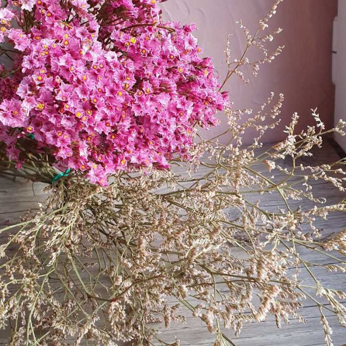 Limonium séché petites fleurs