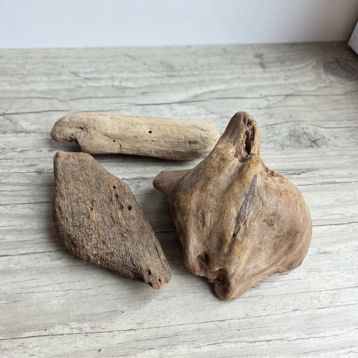 Lot de bois flotté naturel aux formes variées pour décoration et art floral