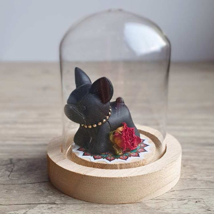 Petit chien sous cloche de verre