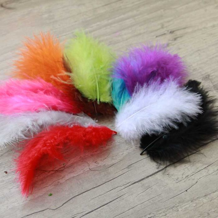Plumes de couleurs