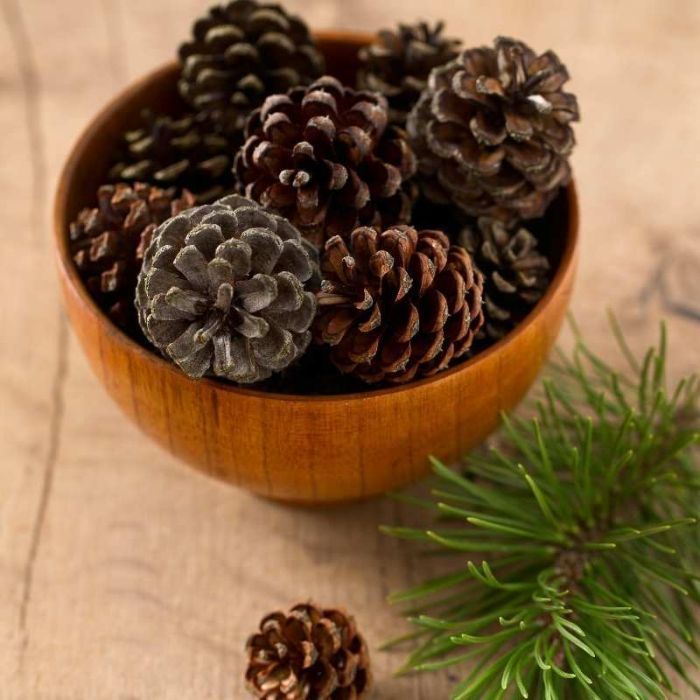 Pommes de pin naturelles françaises 3 tailles lot déco Noël couronne DIY