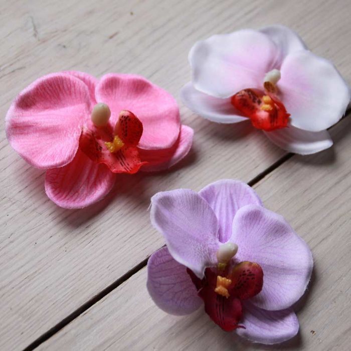 Tête d'orchidée phalaenopsis artificielles