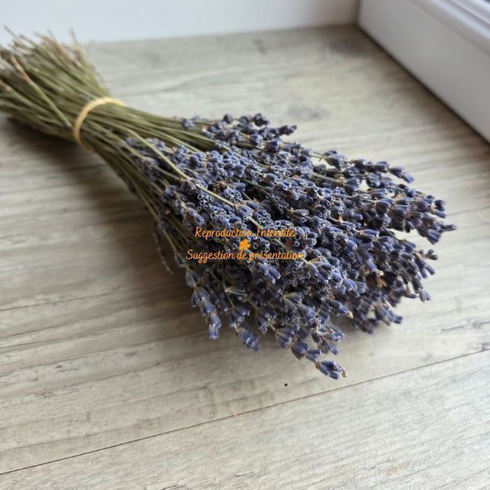 Botte lavande super bleue séchée 80g parfum intense couleur bleue soutenue