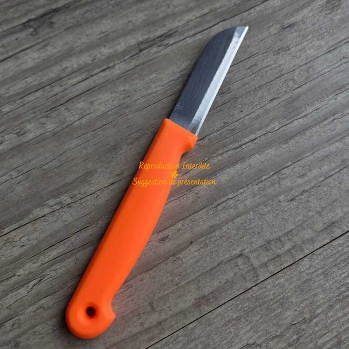 Couteau de fleuriste manche en plastique