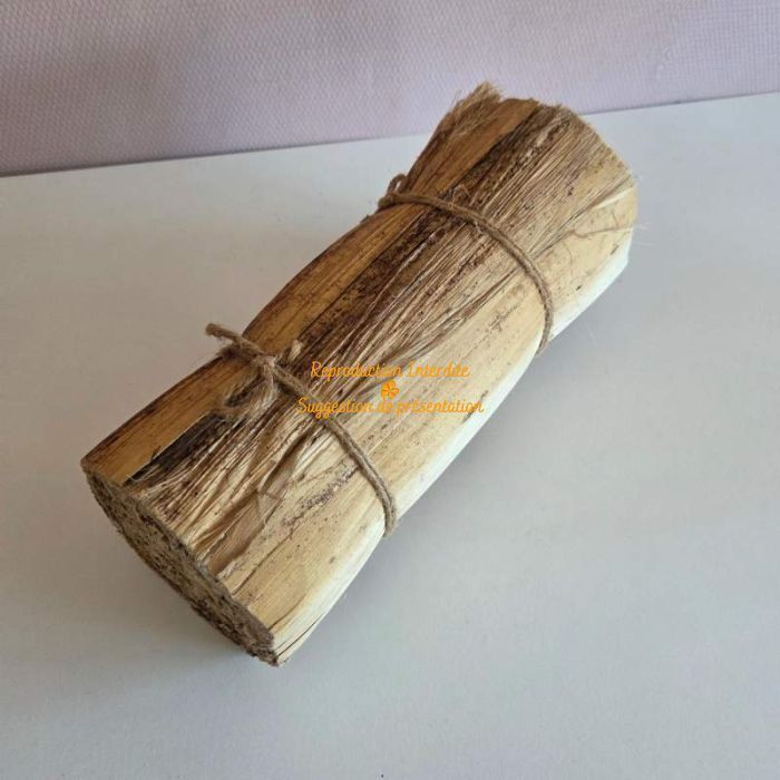 Botte de feuilles de bananier séchées liées corde naturelle décoration boho 30cm