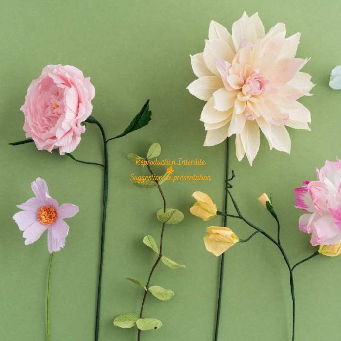 Papier crépon fleuriste – fleurs en papier rose pastel, dahlia champagne et cosmos sur fond vert