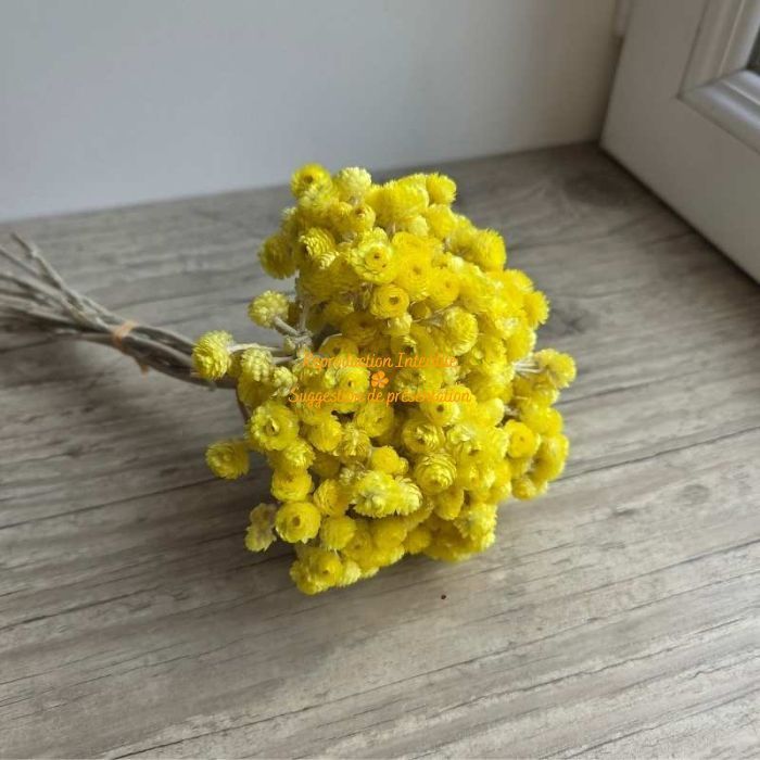 Bouquet d'immortelles séchées du Var jaune