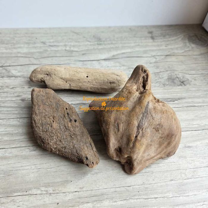 Lot de bois flotté naturel aux formes variées pour décoration et art floral