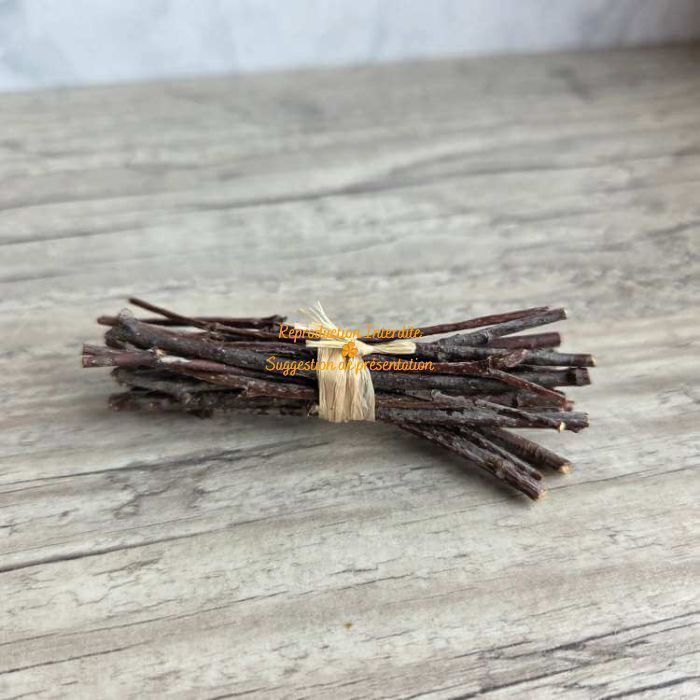 Fagot de brindilles bois