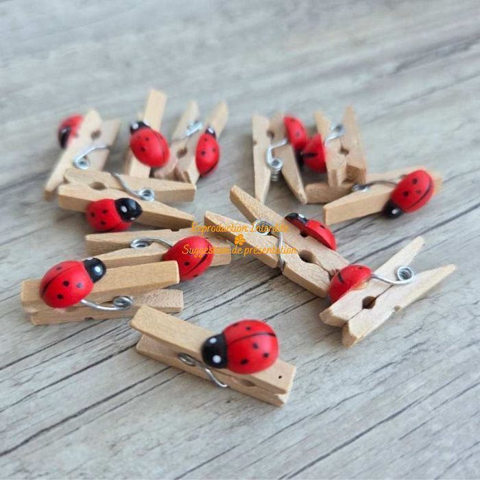 Mini pinces à linge en bois avec coccinelle rouge lot de 12 pour décoration