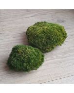 Boules de mousse de forêt stabilisée vert naturel décoration intérieure