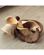 Cosse de haricot géant