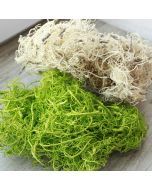 Curly mousse végétale pour décoration rustique.