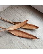 Médio fleur de coco