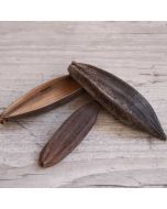 Mini coque boat naturelle