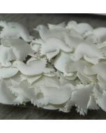 Colombe miniature satin