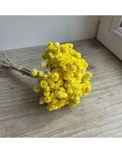 Bouquet de fleurs séchées d'immortelles jaune.