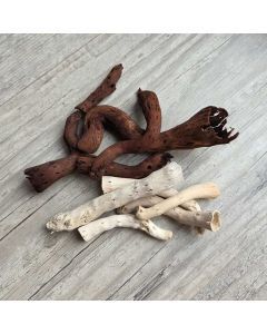 Racine légère de décoration