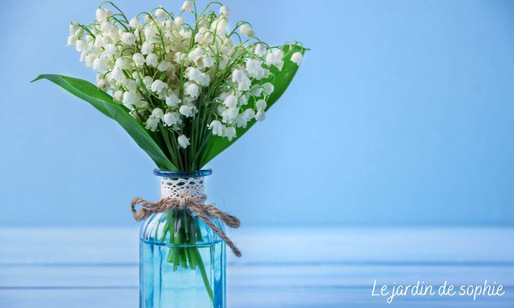 Bouquet de muguet