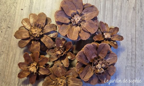 Bouquet de fleurs réalisées à partir de pommes de pin découpées et ouvertes