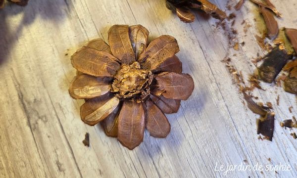 Fleur en pomme de pin façonnée avec pétales arrondis, prête à être peinte